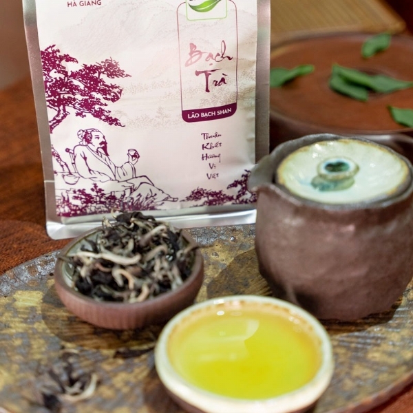 Bạch Trà – Lão Bạch Shan