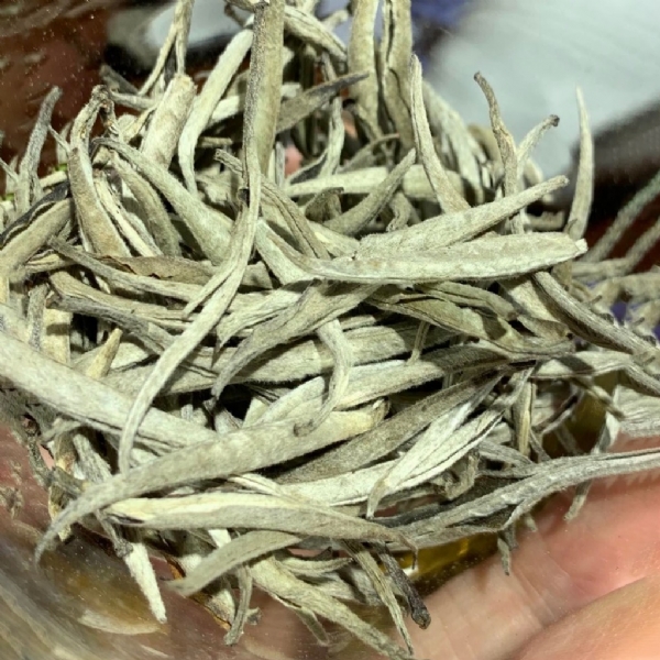 Bạch Trà Bách shan