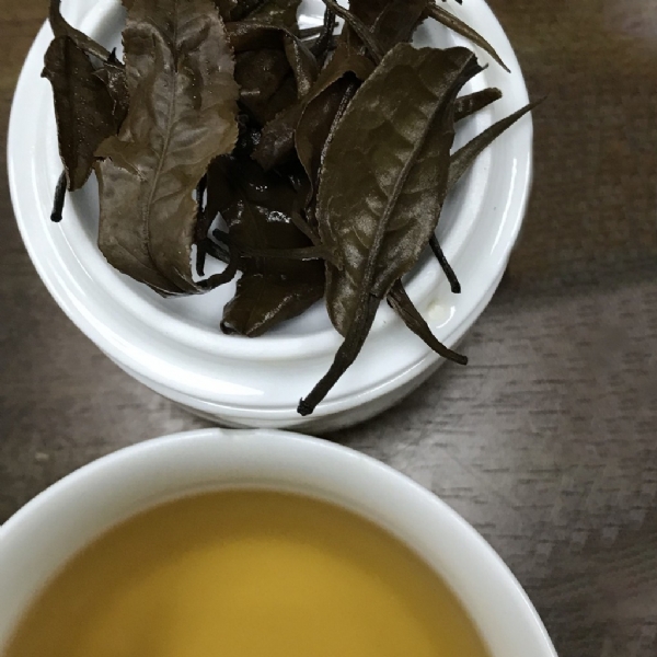 Bạch Trà- Shan Trắng