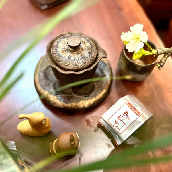 Hồng Trà – Đại Hồng Pao