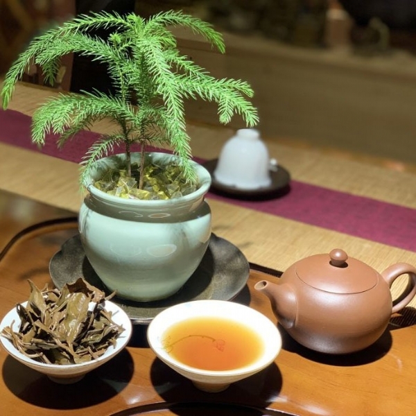 Hồng Trà – Pái Hảo