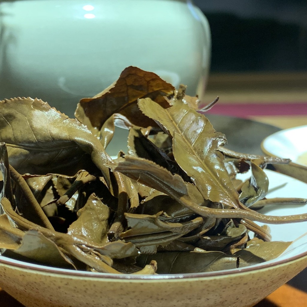 vn-11134207-7r98o-lykcu1w6fp29df.jpeg